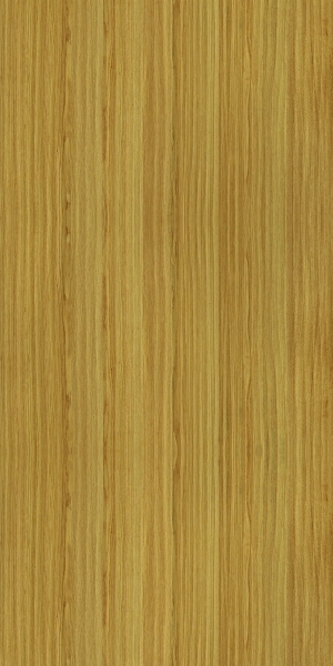 ModernWood Texture