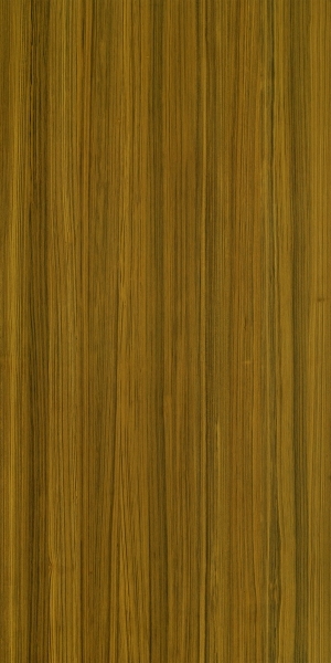 ModernWood Texture