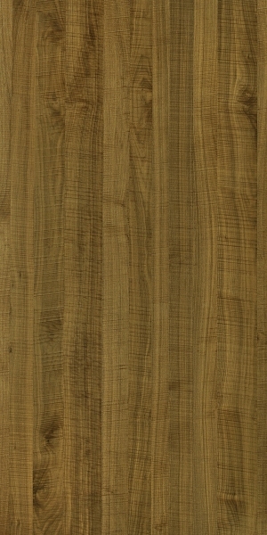 ModernWood Texture