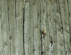 木拼板-ID:6366592