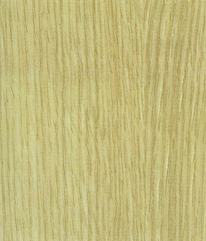 ModernWood Texture