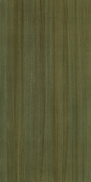 ModernWood Texture