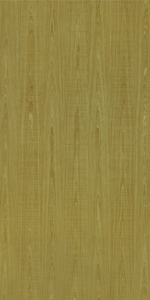 ModernWood Texture