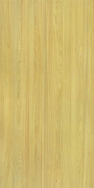 ModernWood Texture