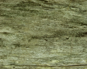 现代木纹-ID:243357909