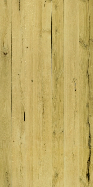 ModernWood Texture