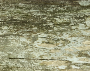 现代木纹-ID:102447997