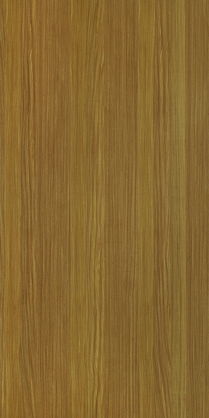 ModernWood Texture