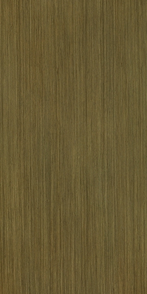 ModernWood Texture
