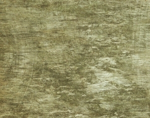 ModernWood Texture