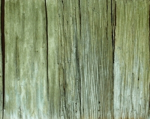 ModernWood Texture