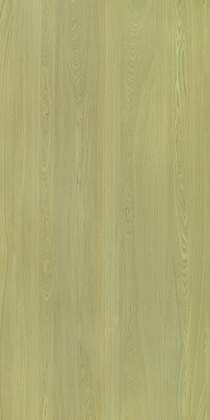 ModernWood Texture