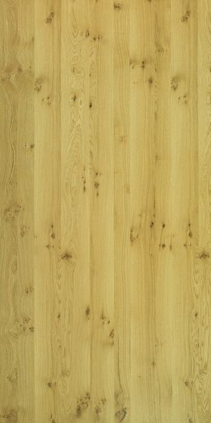 ModernWood Texture