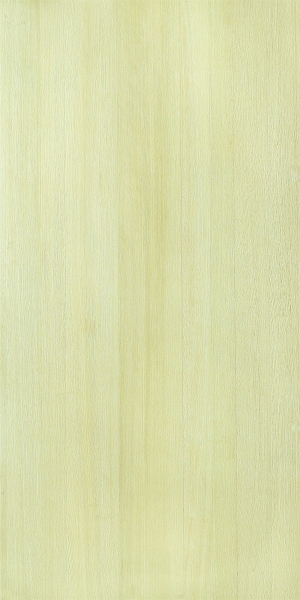 ModernWood Texture
