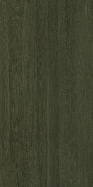 ModernWood Texture