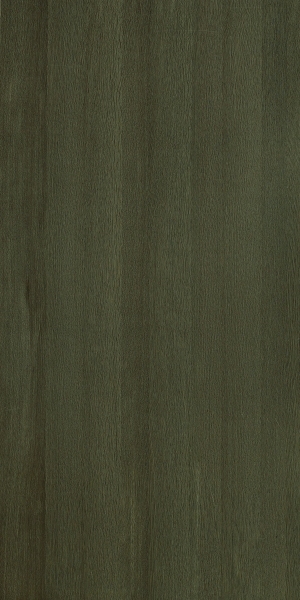 ModernWood Texture