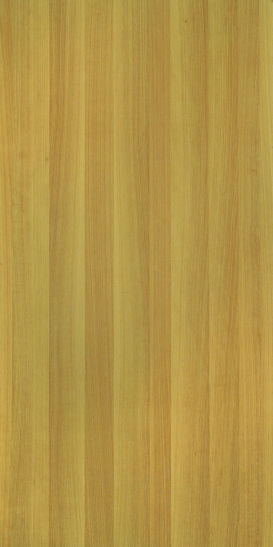 ModernWood Texture