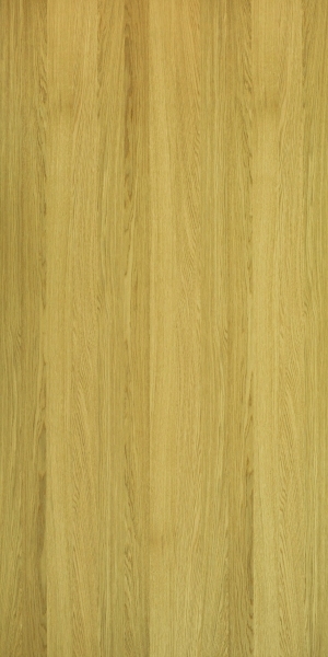 ModernWood Texture