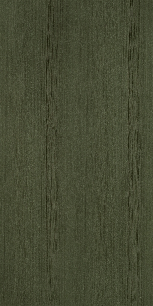 ModernWood Texture