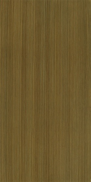ModernWood Texture