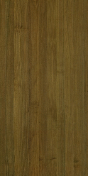 ModernWood Texture