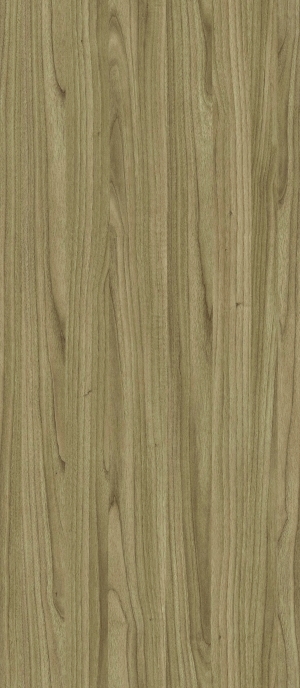 ModernWood Texture