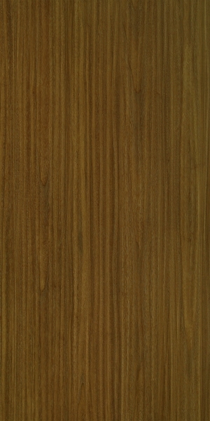 ModernWood Texture