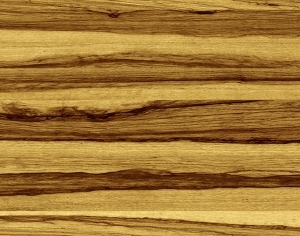 ModernWood Texture