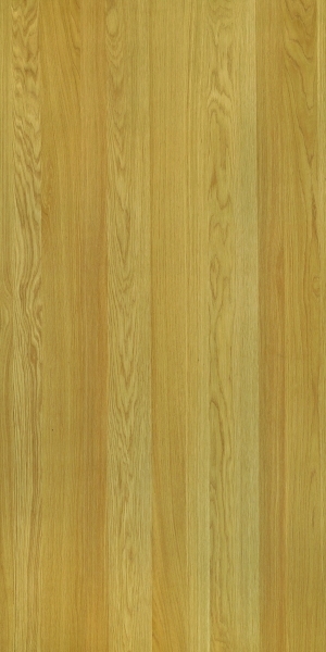 ModernWood Texture