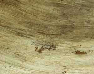 现代木纹-ID:627646923