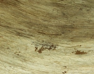 ModernWood Texture