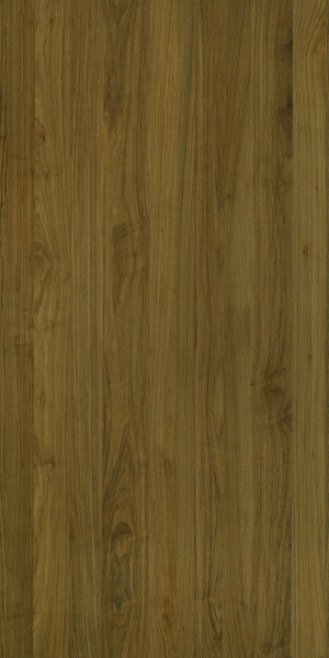 ModernWood Texture