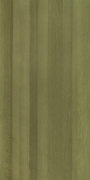 ModernWood Texture