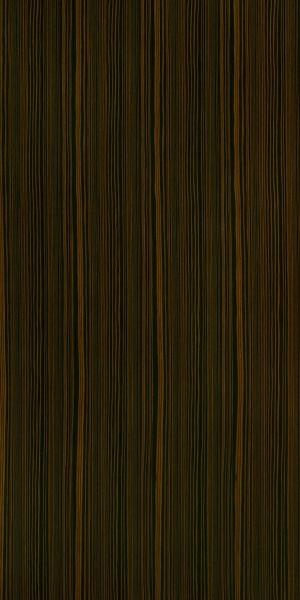 ModernWood Texture