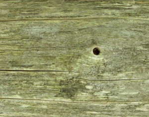 现代木纹-ID:193369483