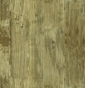 ModernWood Texture