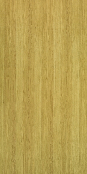 ModernWood Texture