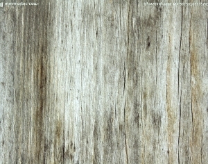 ModernWood Texture