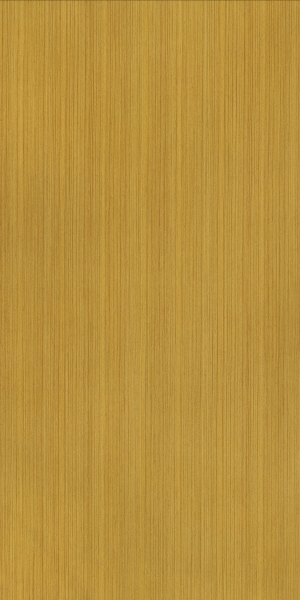 ModernWood Texture