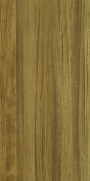 ModernWood Texture
