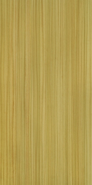 ModernWood Texture