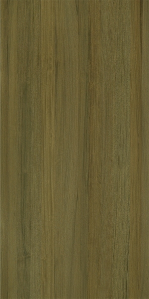 ModernWood Texture