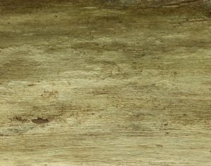 ModernWood Texture