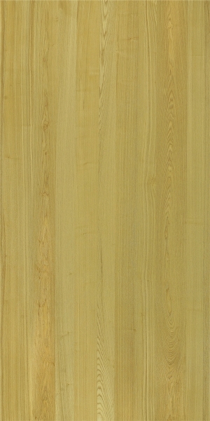 ModernWood Texture