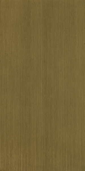 ModernWood Texture