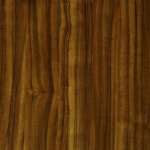 ModernWood Texture