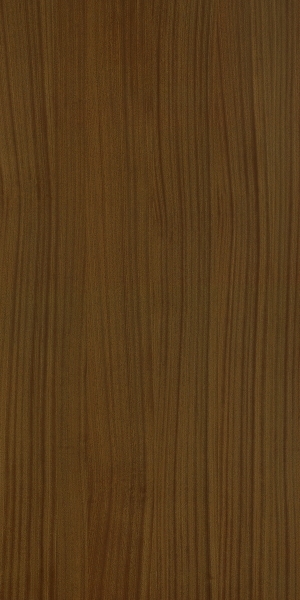 ModernWood Texture