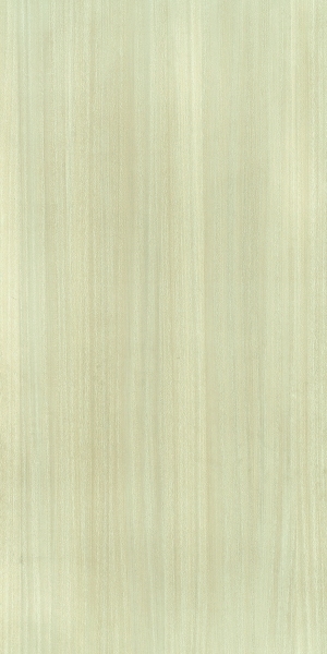 ModernWood Texture