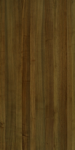ModernWood Texture