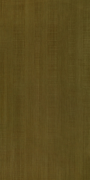 ModernWood Texture